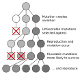Thumbnail for version as of 21:44, 2 June 2007